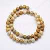 Natural Fossil Coral Beads Strands X-G-G697-F01-4mm-2