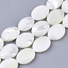 Natural Trochid Shell/Trochus Shell Beads Strands SHEL-T013-006A-02-1