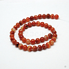 Natural Red Agate Bead Strands X-G-G880-05-8mm-3