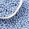 6/0 Glass Seed Beads SEED-L011-08A-23-1