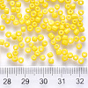 6/0 Baking Paint Glass Round Seed Beads SEED-S036-01C-05-3