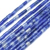 Natural Sodalite Beads Strands G-F631-B09-1