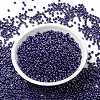 MIYUKI Round Rocailles Beads SEED-G008-RR0434-2
