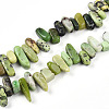 Natural Serpentine Beads Strands G-T140-62-4