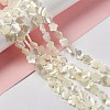 Natural White Shell Beads Strands SHEL-F003-07-3