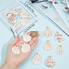 Beebeecraft 20Pcs Natural Scallop Shell Dyed Pendants FIND-BBC0003-15-3