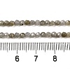 Natural Labradorite Beads Strands G-Z068-B03-01-5