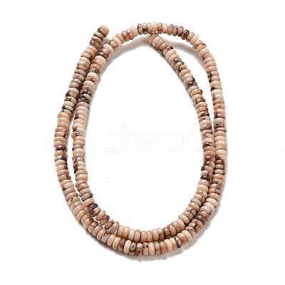 Natural Fossil Beads Strands G-I339-06-1