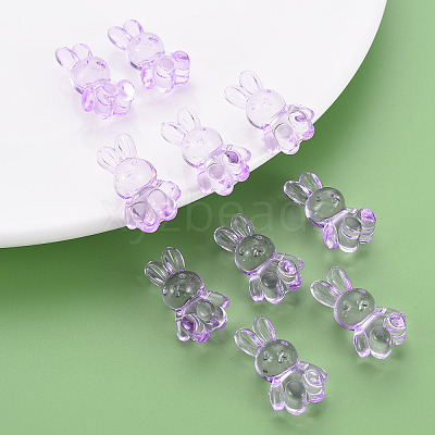 Transparent Acrylic Beads LS-MACR-S373-81-B05-1