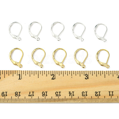20Pcs 2 Colors Brass Leverback Earring Findings KK-FS0001-47-1