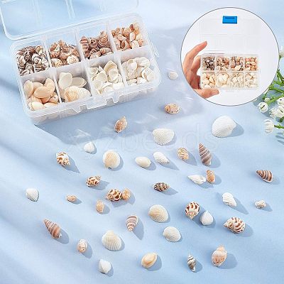 Natural Conch Shell Beads SSHEL-FH0001-05-1