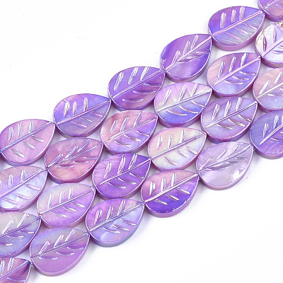 Freshwater Shell Beads Strands X-SHEL-S274-61D-1