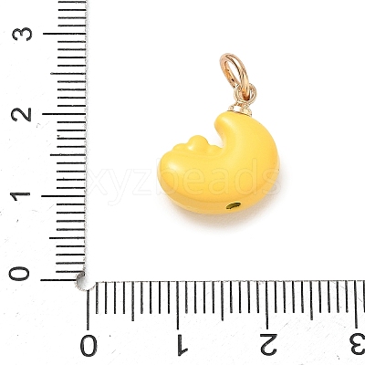 Alloy Enamel Pendants AL-CBA68FA-01A-G-1