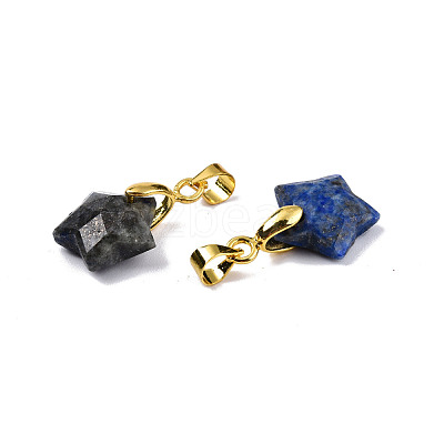 Natural Lapis Lazuli Charms G-N326-142-02-1
