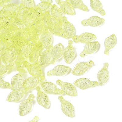 Transparent Acrylic Charms TACR-F009-11A-1