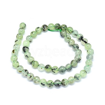 Natural Prehnite Beads Strands G-F602-01-8mm-1