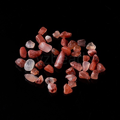 Natural Carnelian Chip Beads G-O103-18A-1