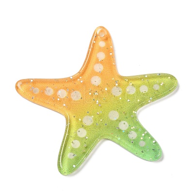 Acrylic Pendants FIND-Q105-06B-01-1