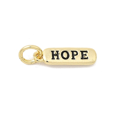 Brass Enamel Charms KK-P338-01G-E01-1