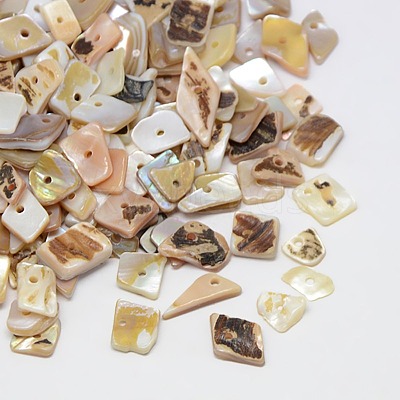 Dyed Natural Freshwater Shell Chips Beads SHEL-A003-A03-1