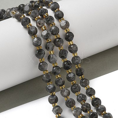 Natural Larvikite Beads Strands G-K387-A02-01-1