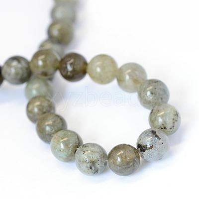 Natural Labradorite Round Bead Strands G-E334-10mm-19-1