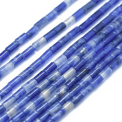 Natural Sodalite Beads Strands G-F631-B09-1