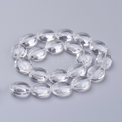 Glass Bead Strands GLAA-S003-20x11mm-14-1
