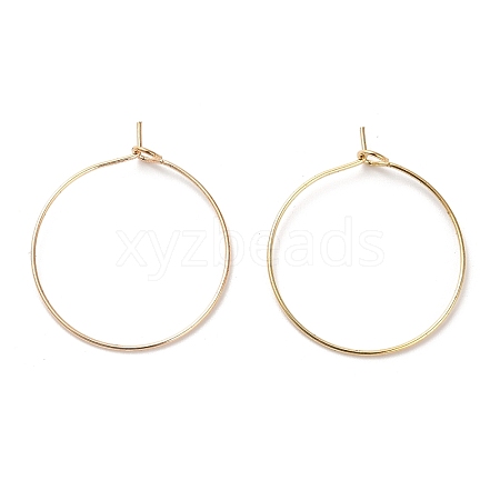 Iron Earring Findings IFIN-R211-01KCG-1