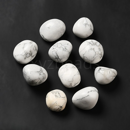 Natural Howlite Beads G-G979-A04-1