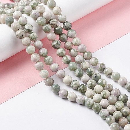 Natural Peace Jade Beads Strands X-G-G905-07-1