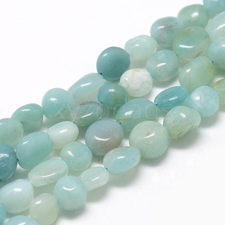 Natural Amazonite Beads Strands G-R445-8x10-21-1