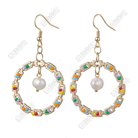304 Stainless Steel Ring Dangle Earrings EJEW-FS00063-1