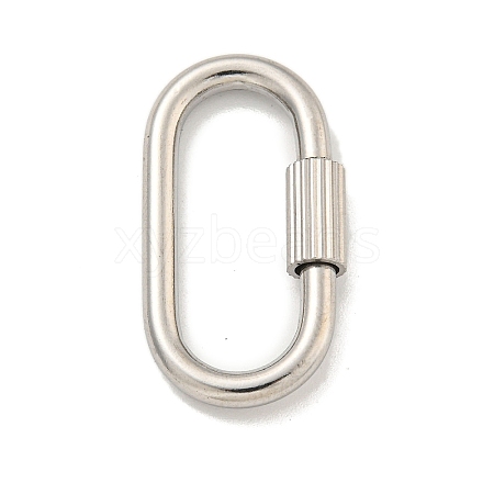 Non-Tarnish 304 Stainless Steel Screw Carabiner Lock Charms STAS-C092-09B-P-1