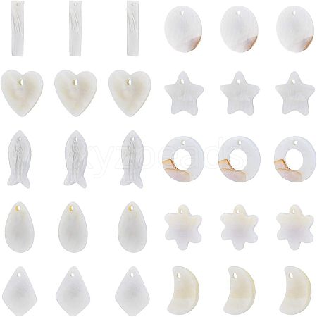 Natural Freshwater Shell Charms/Pendants SHEL-NB0001-03-1