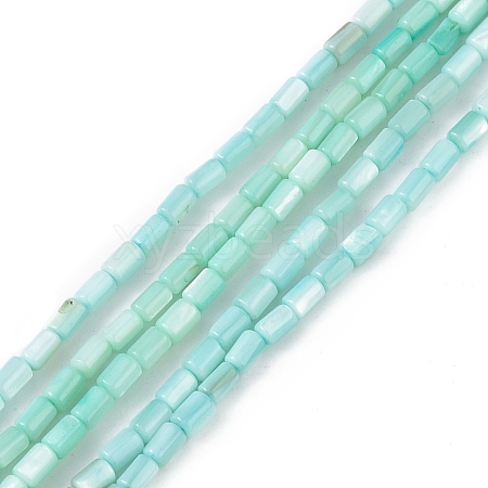 Natural Freshwater Shell Dyed Beads Strands SHEL-M018-12-06-1