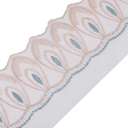 Embroidery Polyester Ribbon OCOR-WH0075-18-1