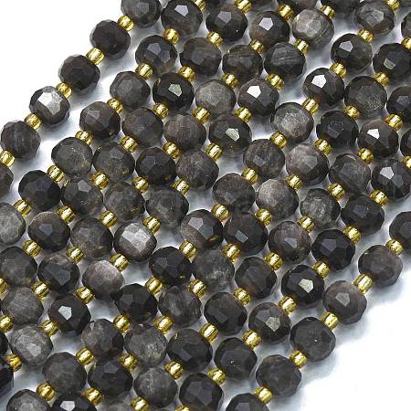 Natural Silver Obsidian Beads Strands G-K389-E84-01-1