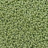 MIYUKI Round Rocailles Beads SEED-G007-RR0439-3