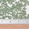 MIYUKI Delica Beads X-SEED-J020-DB2310-4