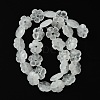 Natural Quartz Crystal Beads Strands G-H023-B17-01-3