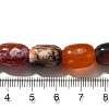 Natural Fire Crackle Agate(Dyed & Heated) Beads Strands G-H091-C01-01-4