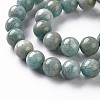 Natural Amazonite Beads Strands G-S333-10mm-005-3