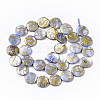 Drawbench Freshwater Shell Beads Strands SHEL-T014-012B-2