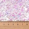 Baking Paint Glass Seed Beads SEED-F005-01A-05-4