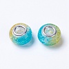 Two Tone Resin European Beads RPDL-K002-C06-1