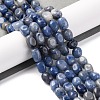 Natural Blue Aventurine Beads Strands G-G146-A23-01-2