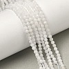 Natural Rainbow Moonstone Beads Strands G-B168-A11-2mm-1