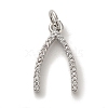 Rack Plating Brass Micro Pave Cubic  Zirconia Pendant KK-U027-14P-1