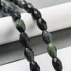 Natural Kambaba Jasper Beads Strands G-P520-C20-01-2